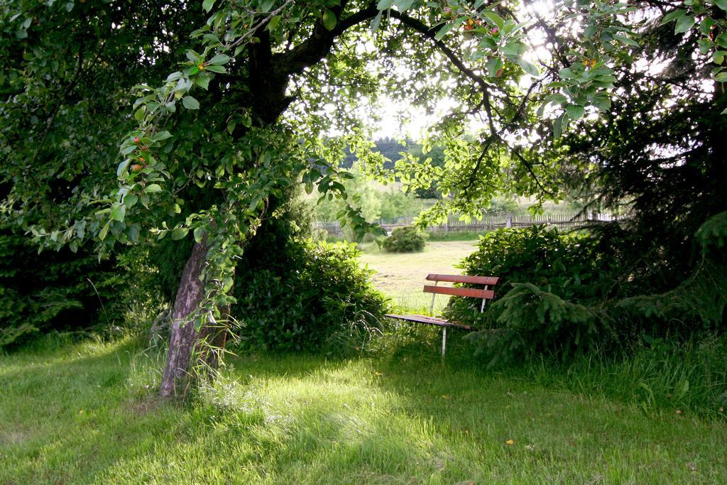 Penzion Muflon Bela nad Radbuzou Extérieur photo