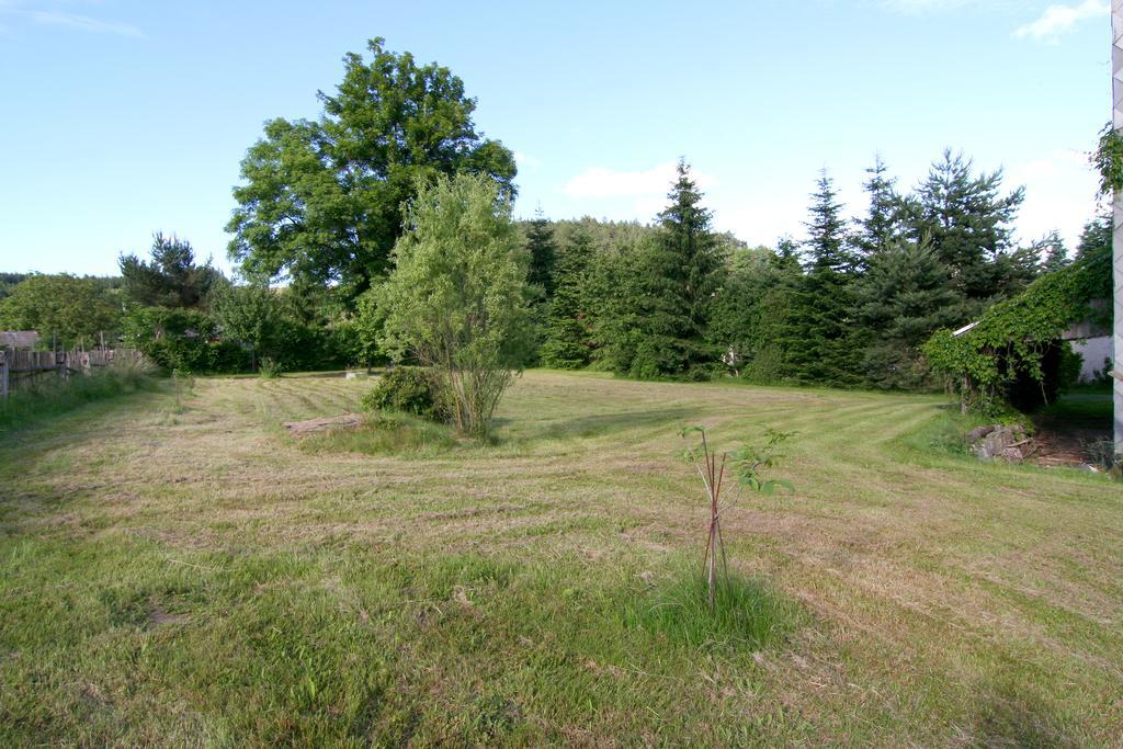 Penzion Muflon Bela nad Radbuzou Extérieur photo