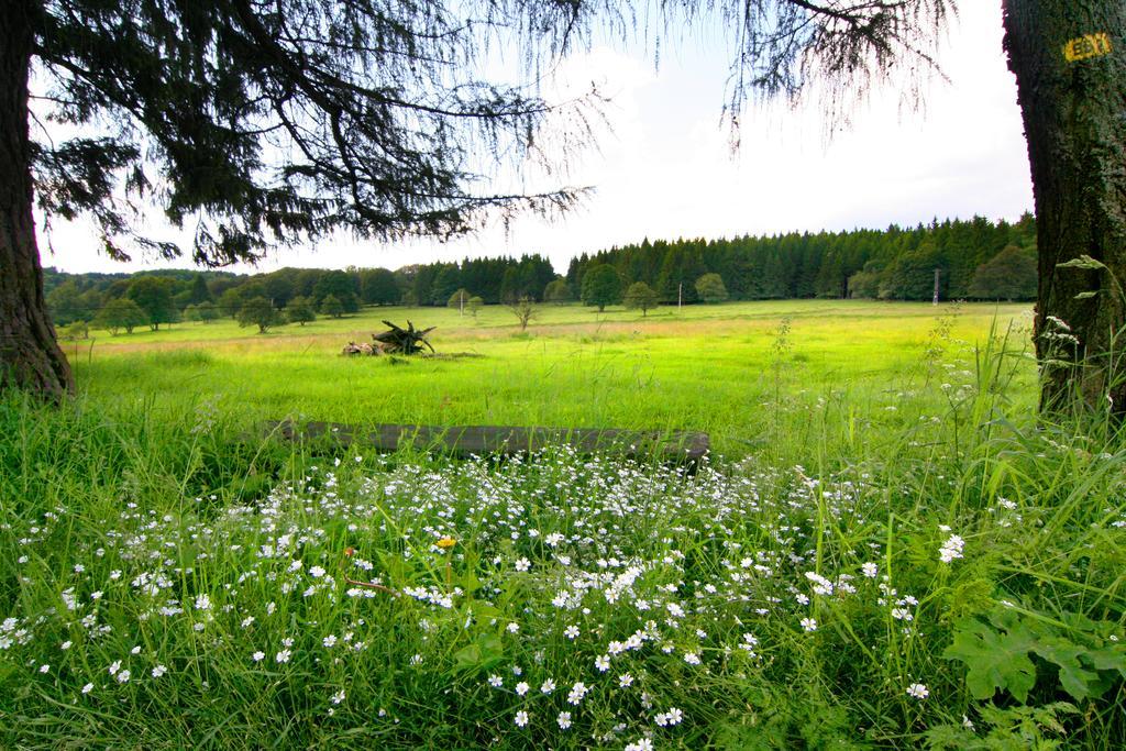 Penzion Muflon Bela nad Radbuzou Extérieur photo